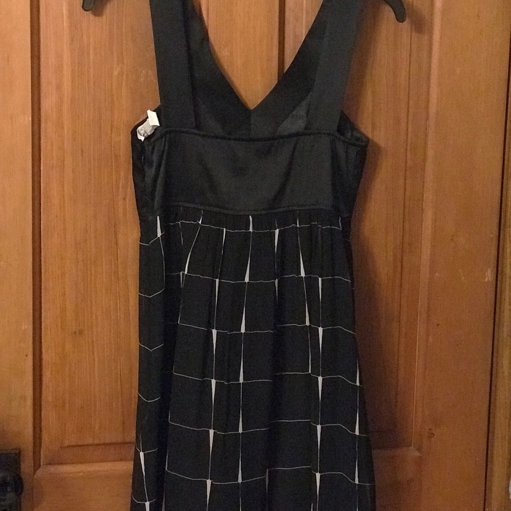 Express Dress - Picture 3 of 6